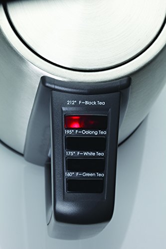 Capresso H2O Steel Plus Water Kettle, 57 Oz, Black #TOP4