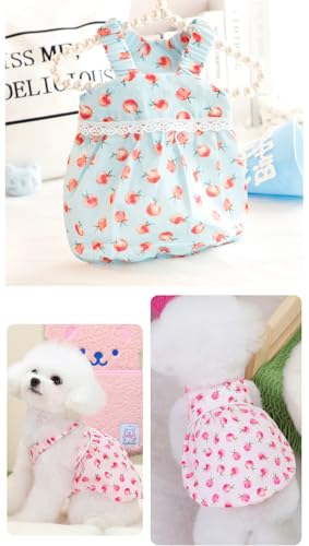 Vestido princesa para perros pequeños rosa con encaje miniatura 3