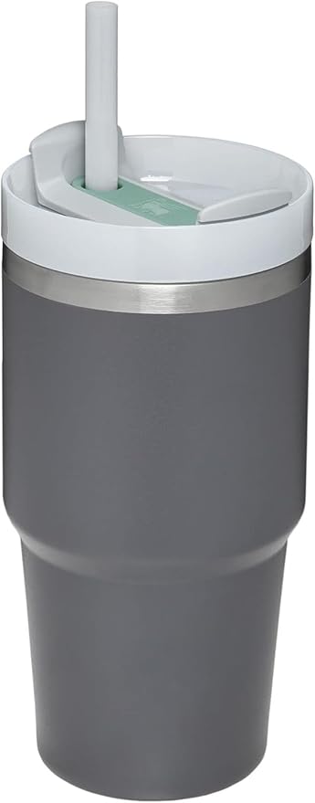 Nestlab Travel Mug with Straw Stainless Steel Vacuum Insulated Tumbler with Straw and Lid & Handle Heat Preservation Cup Cold Preservation Cup Travel Straw Cup (Multicolor) (500 Ml)