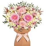 Blushing Elegance Fresh Flower Bouquet Delivered in Presentation Vase | Solidago, Pink Germini & Seasonal Greenery | Natural Card Vase and Pink Ribbon Ribbon | AMFL010