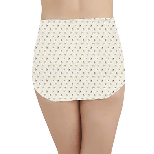 Vanity Fair Women's Perfectly Yours Ravissant Nylon Tailored Brief Panty (Fashion Colors), Little Flower Print, 6 #TOP2
