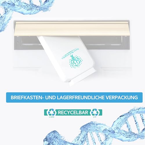 Swiss Bioenergetics Saccharomyces Boulardii 5 Milliarden CFU 90 Kapseln - Hochwirksame, Nicht Kolonisierende Hefe mit Synergistischem Olivenblatt, Biotin und Vitamin D3 - Keine Kühlung Erforderlich