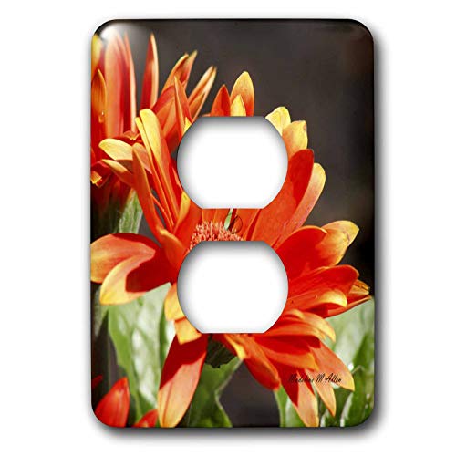Cache-prise en velours Orange doux texture mate plaque décorative 3dRose LSP_7165_6