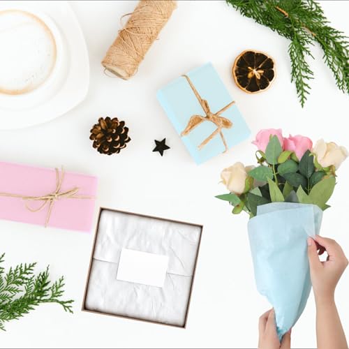 Tikplus Seidenpapier 100 Blatt,10 Farben Buntes Bastelpapier 50x35cm, Transparentpapier für Pompons,Papierblumen,Geschenkverpackung, Verpackt in Geschenktüten