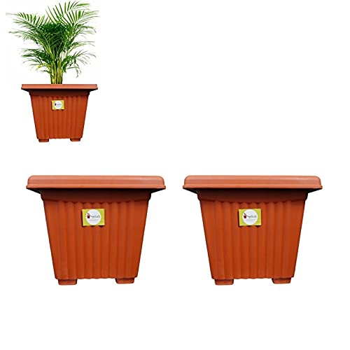 spylark Premium First Smart Plastic Square Pot Set (8-inch)(Pack of 2) (B08D7LD7H5) Amazon Price History, Amazon Price Tracker