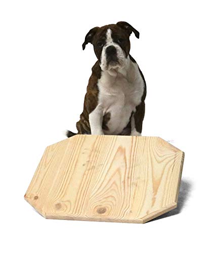 SAUERLAND Holz-Wackelbrett für Welpen ca. L 40 x B 40 x H 10 cm, Hundespielzeug