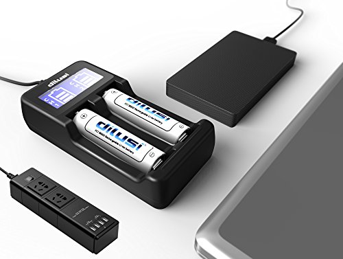 DILUSI Intellicharger Caricabatterie intelligente