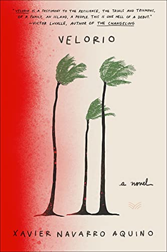 Velorio: A Novel view 2