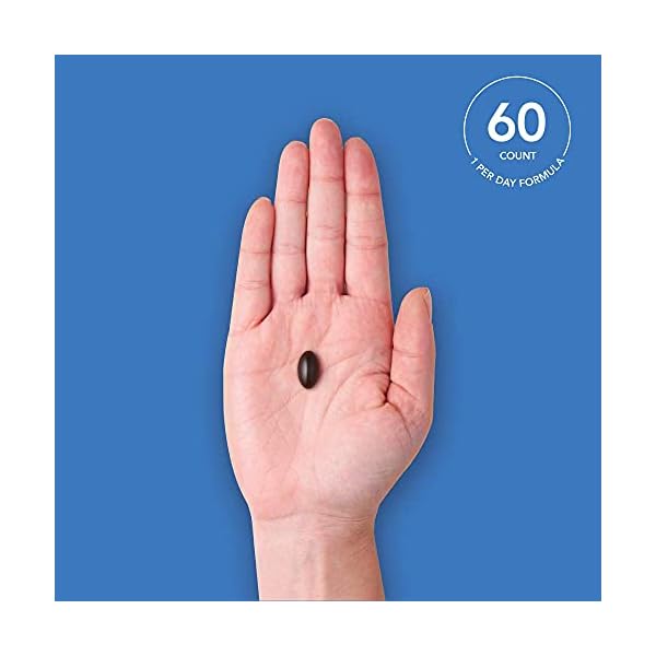 Whole-Fruit-Blueberry-Concentrate-Made-from-Organic-Blueberries-Non-GMO-Gluten-Free-60-Liquid-Softgels Sports Research Whole Fruit Blueberry Concentrate Made from Organic Blueberries - Non-GMO & Gluten Free (60 Liquid Softgels)