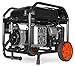 WEN 5,600-Watt Dual Fuel Portable Generator with Wheel Kit, Electric Start, and CO Watchdog (DF5600X)