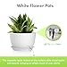 Meowell 12/10/9 inch Large Plant Pots, 3 Pack Wide Flower Pots for Outdoor Indoor Plants with Water Ripples, Big Plastic Planters with Drainage Holes and Saucers for Garden House Plants, White