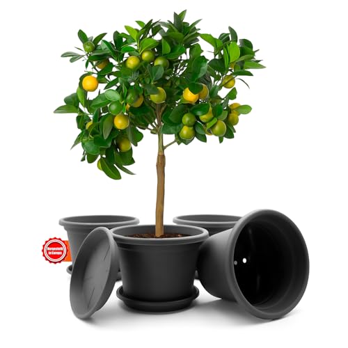 BigDean 4 Stück Blumentopf mit Untersetzer rund ø 35 cm Anthrazit – wetterfester Pflanzkübel Made in Europe