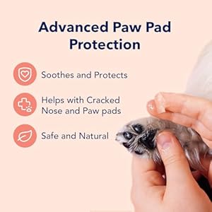 Vets Preferred Paw Balm Pad Protector for Dogs–Dog Paw Balm Soother–Heals Repairs and Moisturizes Dry Noses and Paws–Ideal for Extreme Weather Season Conditions 2 Oz