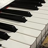  Farfisa Fast Tape