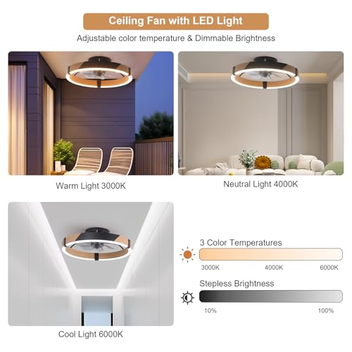 Image of Garwarm Low Profile Ceiling Fans with Lights and Remote, 20 inch Fandelier