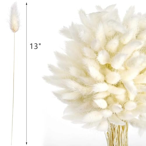 Decoración de Pasto Pampas Seco, 100 Unidades 45 cm miniatura 4