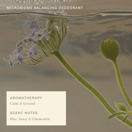 Oak Essentials Microbiome Balancing Natural Deodorant, Aluminum-Free, Baking Soda-Free Deodorant for Women, All-Day Odor Protection, Gentle for Sensitive Skin with Blue Tansy, 1.7 Oz - Image 6