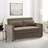 Aoowow Convertible Sleeper Sofa Bed 57 Inches, Velvet 2 Seats Sofa with Pull Out Bed,Loveseat Sofa C