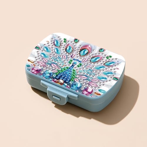 Image of ARTopet 2Pcs Diamond Art Painting Mini Storage Box with 6-Grid Creative Design Compact Portable Small Case for Purse Travel Daily-02