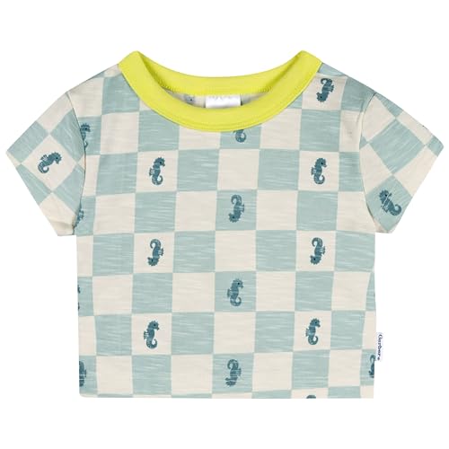 Image of Gerber Baby Boys' Toddler T-shirt and Short Set
