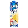 Santal – Succo Ananas Cocco, con una Goccia di Latte – 12 pezzi da 1 l [12 l]