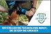 dog armour PRO Schutzweste für Hunde – Schützendes Hundegeschirr gegen Greifvogel- und Tierangriffe – Verstellbar, Würgefrei, Wasserdicht, Reflektierend (S, Gelb)