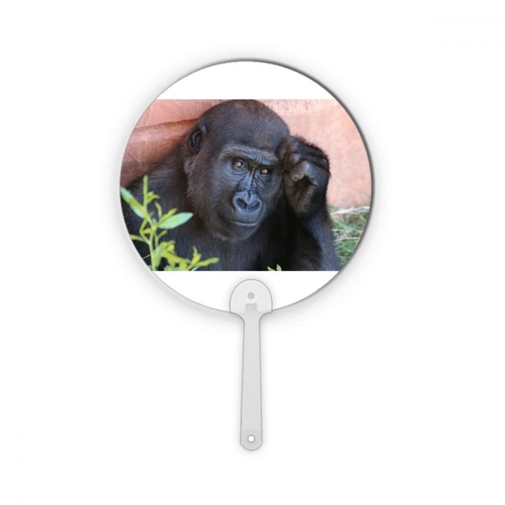 Chimpanzé rond en plastique no/no m rompre la monotonie d'une étagère vide