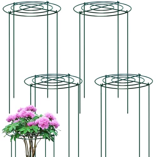 TIKTALK 4 Stück Pfingstrosen Halterung/Pflanzringe Rund (30cm Ø x 60cm H) Stabile Grüne Metall-Staudenhalter mit 4 Beinen Pflanzenstützen für Pfingstrose Rose Rostfrei & Wetterfest