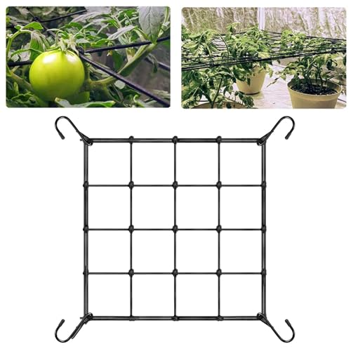 Wondsea Red para tienda de campaña, soporte para plantas, malla elástica con 4 ganchos, red de nailon para jardín, huerto, soporte para plantas, para verduras, frutas, flores (50 x 50 cm)