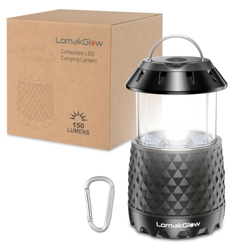 Lanterne LED pour pannes de courant et camping en plein air et randonnée