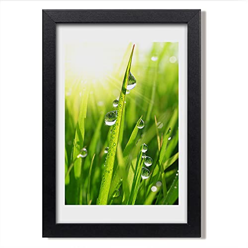 Affiche de lames d'herbe Tulup pour raviver un mur blanc vide