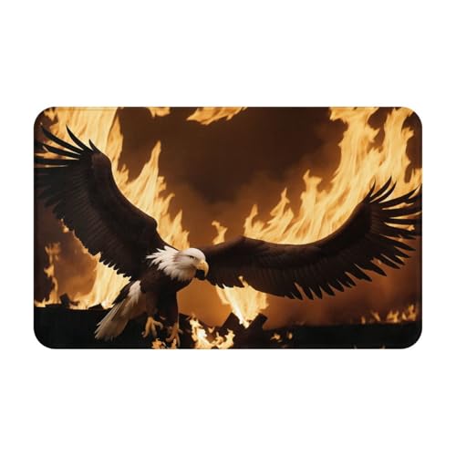 Eagle and Fire Print Living Room Bathroom Kitchen Anti Slip and Absorbent Carpet, Indoor Entrance Door Muddy Floor Mat, Ultra Soft Washable Carpet 21x31.5 Inches