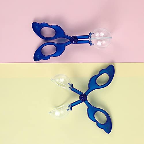 10 Pcs insetos para crianças | Brinquedo coletor insetos para crianças,Coleção insetos para visualiz