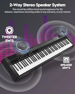 STRICH Digital Piano 88 Key Full Size Weighted Keyboard, Hammer-Action Portable Electric Piano For Beginner Adults, Bundle With Sustain Pedal, Piano Stickers, Music Rest, Black, SDP-P7