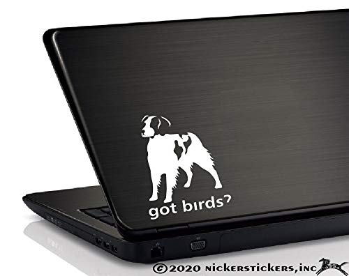 Got Birds? ~ American Brittany Dog Vinyl Window Auto Decal Sticker #TOP2
