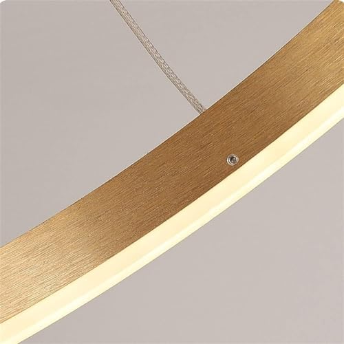 Lustre moderne brossé pour ajuster la lumière sans se déplacer - 8