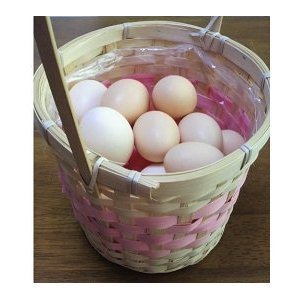 ルイーズ烏骨鶏の卵50個 ルイーズ烏骨鶏の卵50個 37-c_main00r.jpg