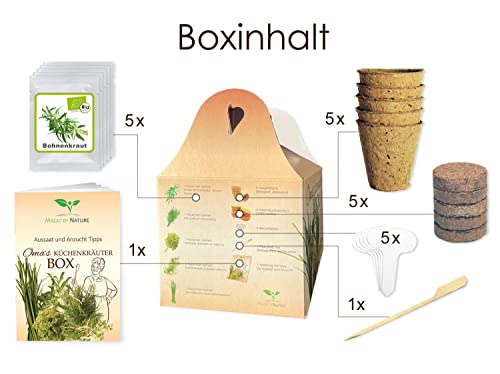 Magic of Nature Oma`s Küchenkräuter Box - Anzuchtset - 5 Sorten frische BIO Kräuter Samen - Zum Selberzüchten oder zum Verschenken - Image 3