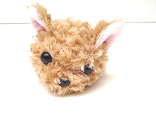 TSTAhoX Little Beans [NVeA 10556