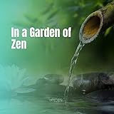  Arena of Zen and Respect