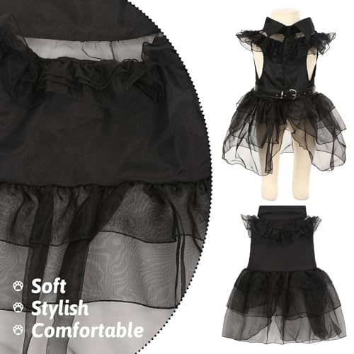 Disfraz para perro negro talla Medium elegante miniatura 2