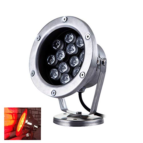 Preisvergleich Produktbild LED Teichleuchten, 24V Unterwasser-Aquarium-Scheinwerfer Rotlicht Tauchbeckenlicht Wasserdicht Für Aquarium Und Teich (Rostfreier Stahl),24w