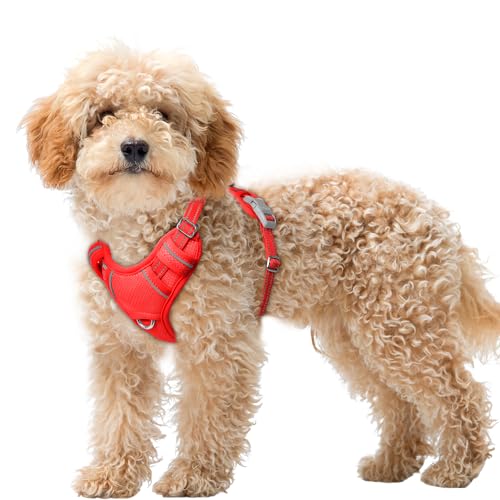 BARKBAY Dog Harness for Small Sized Dog No Pull Dog Vest ID Tag Pocket