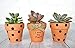 My Urban Crafts 20 Pcs Small Mini Clay Pots 2.1 inch Mini Terracotta Pots Clay Ceramic Pottery Planter Cactus Flower Pots Succulent Nursery Pots for Indoor/Outdoor Mini Plant, Crafts, Wedding Favors