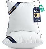 Utopia Bedding Throw Pillow Inserts (Pack of 2, White), 22 x 22 Inches Decorative Indoor Pillows for Sofa, Bed, Couch, Cushion Sham Stuffer