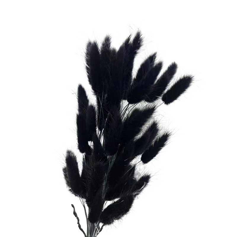 Ramo de plumero pampas negro 5 piezas miniatura 4