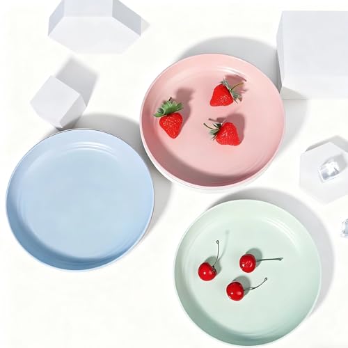 3 bandejas redondas, 30 cm, bandeja decorativa para servir, bandeja redonda grande, bandeja de comedor para fiestas, bares, cafeterías, hogares, restaurantes, camareros y restaurantes