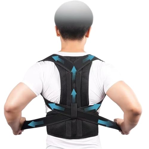 vXTCY S`5XL obNu[X Ғ^ǎp jp tobNT|[gxg V_[Xgi[ Lwp ŃT|[g(S)