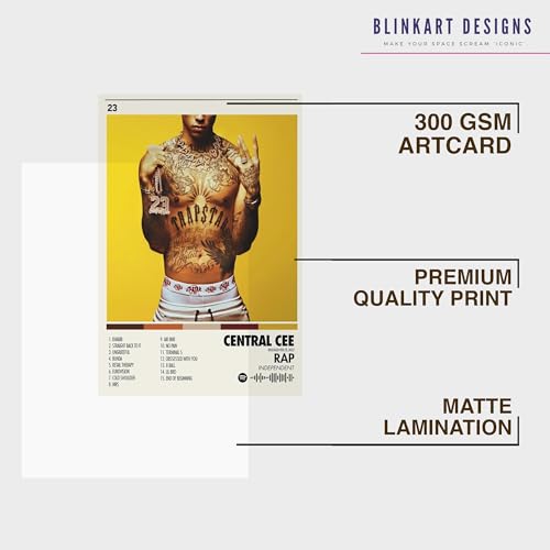 Image of BLINKART Central CEE Wall Photo Frames | Wall Art for Bedroom, Living Room, Studio or Office | Album Cover Print with Spotify Song Link QR Code | Gift for Fans - 8x12 In