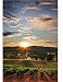 Frutteto Al Tramonto Puzzle 1000 Pezzi Per Adulti Puzzle Giochi Educativi Puzzle Per La Decorazione Della Casa